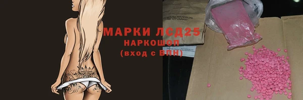 прущие грибы Медногорск