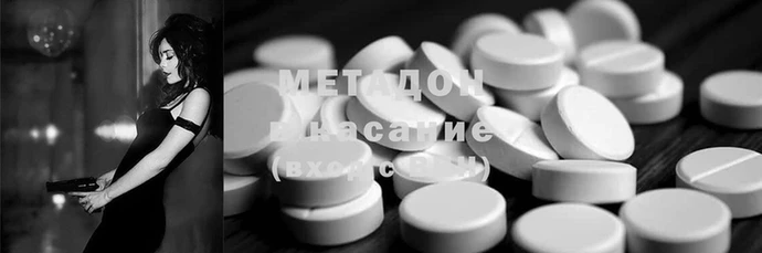 прущие грибы Медногорск