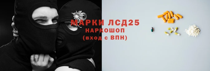 прущие грибы Медногорск