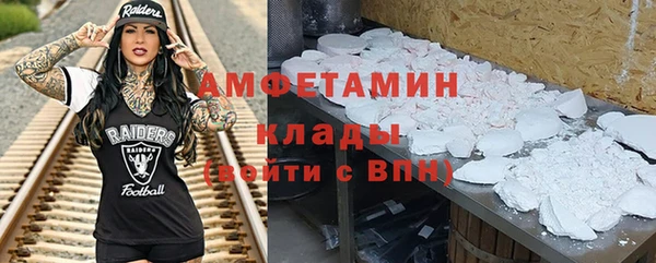 прущие грибы Медногорск