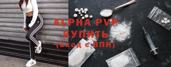 прущие грибы Медногорск