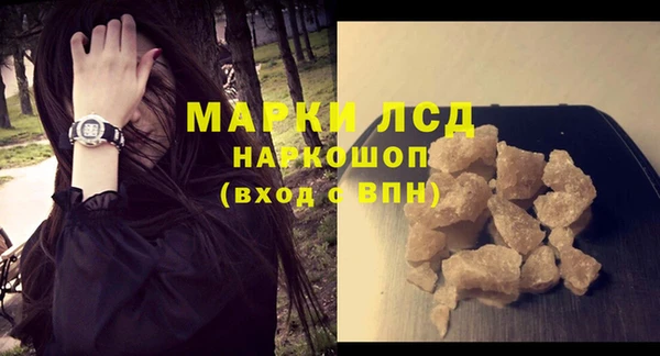 прущие грибы Медногорск