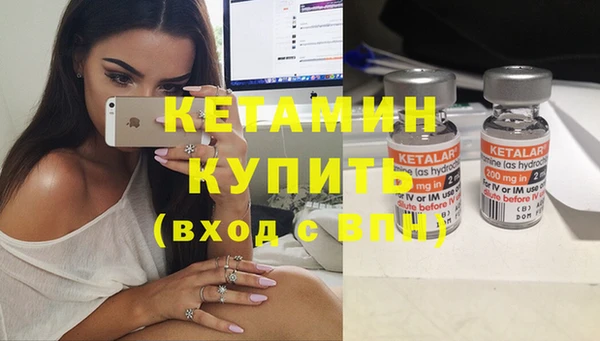 прущие грибы Медногорск