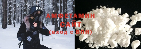 прущие грибы Медногорск